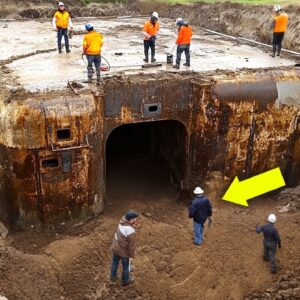 Woman Finds Buried Bunker in Garden, Police Discover Shocking Secrets Inside