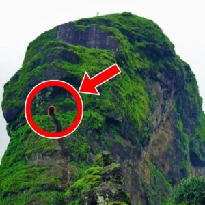 Hikers Discover Hidden Tomb On Mountaintop, They Turn Pale After Seeing What’s Inside