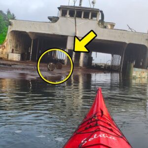 Kayaker Discovers Lost Ship In Bermuda Triangle – What He Found Inside Left Him Stunned!