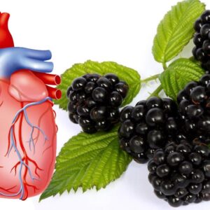 Health Benefits of Blackberries