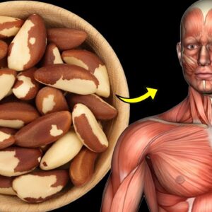 What Happens To Your Body When You Eat 1 Brazil Nut Every Day