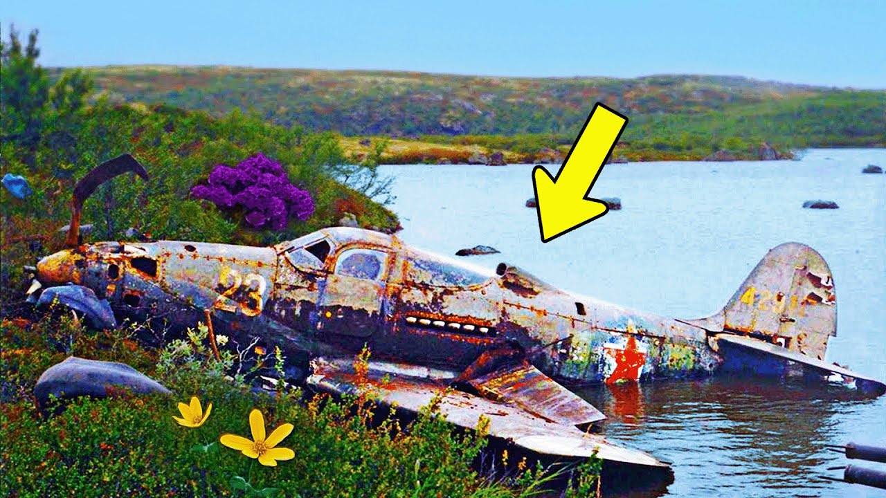 Abandoned Plane Found Hidden Deep in Jungle, Scientists Look Inside & Immediately Turn Pale!