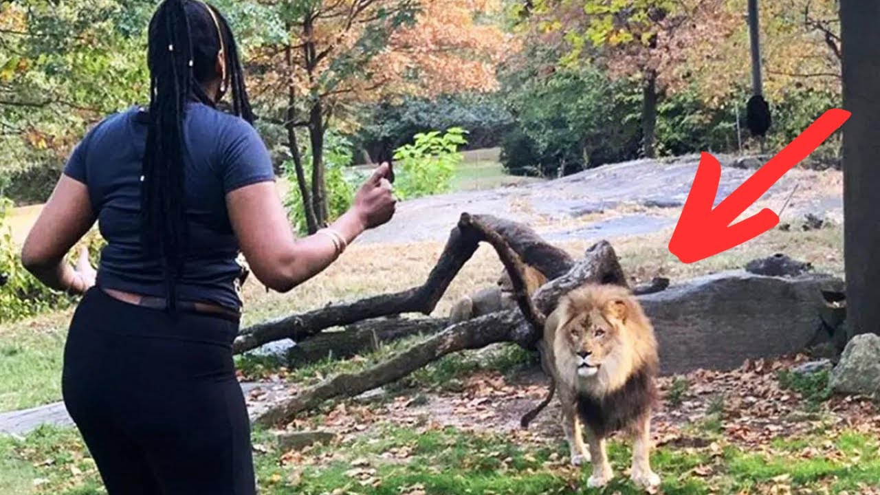 Lion Reunites With Caretaker After 8 Years – His Reaction Will Leave You Speechless!